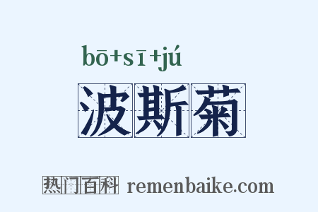 波斯菊是什么意思的图片
